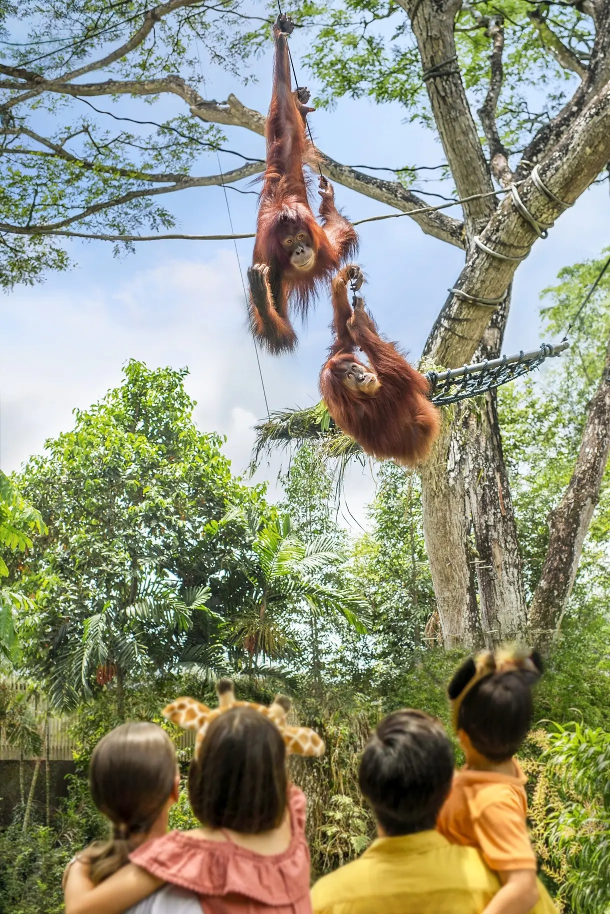 Singapore Zoo in Singapore - Photo 12