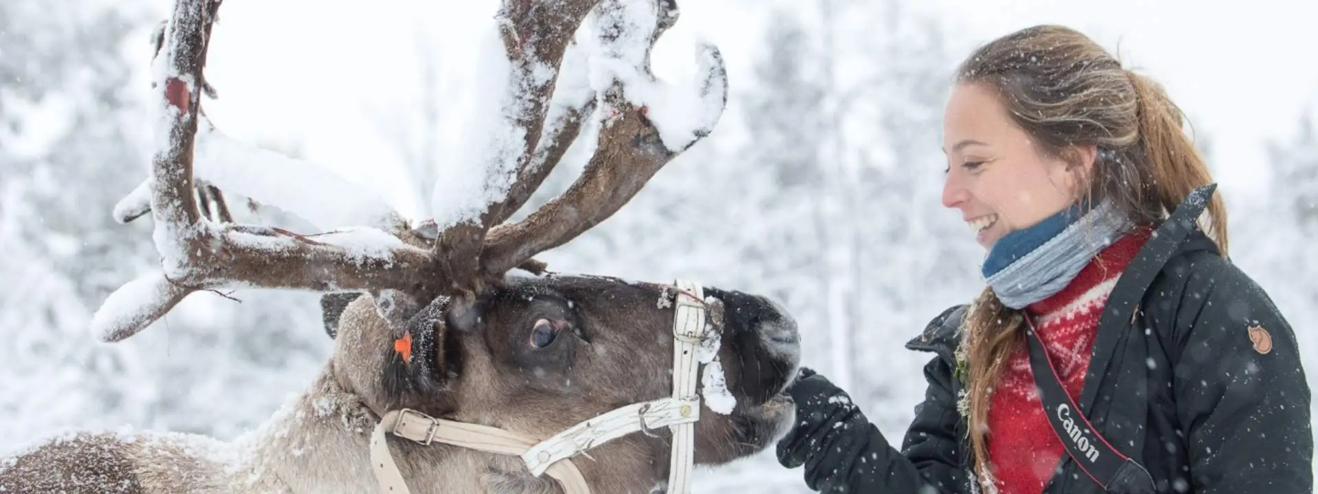 Sami Village Half Day Tour from Abisko or Björkliden in Stockholm
