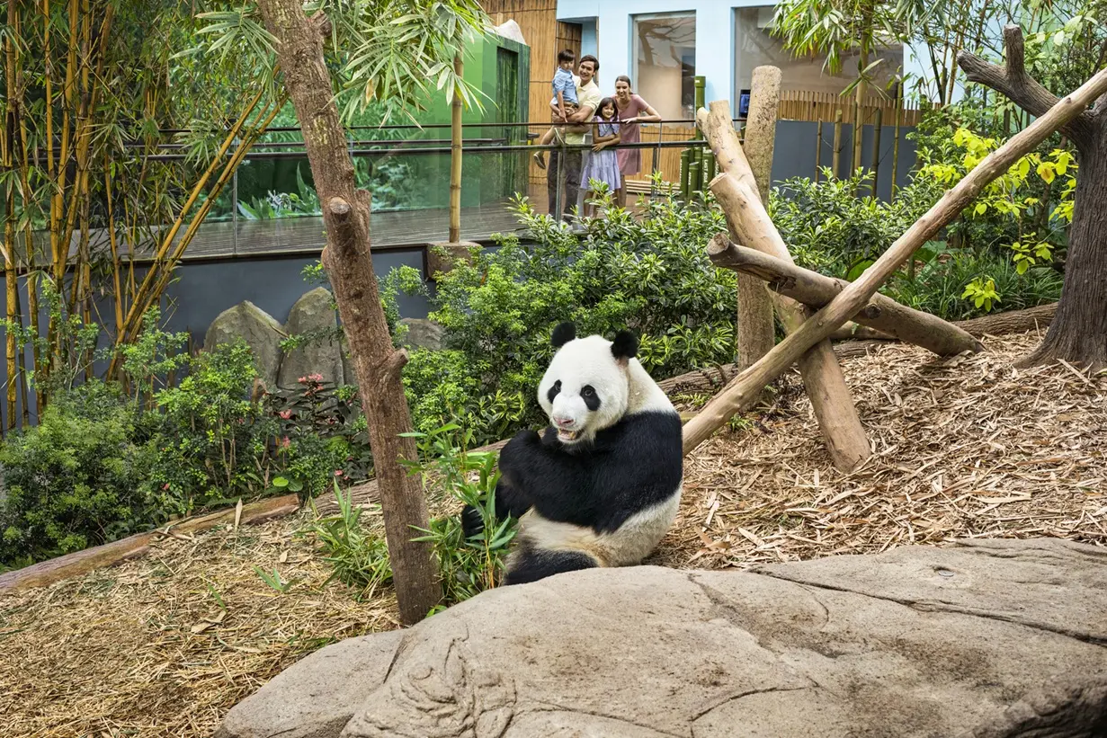 River Wonders in Singapore - Photo 6