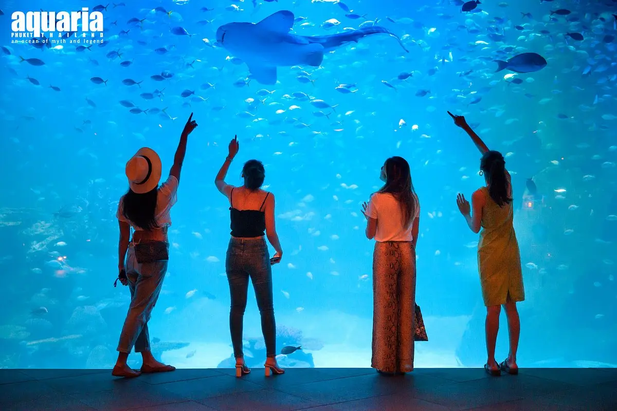 บัตรเข้าชม Aquaria Phuket - ประเทศไทย Thai Resident (Incl Expats) in Phuket