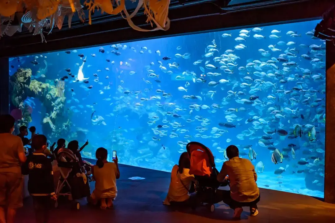 บัตรเข้าชม Aquaria Phuket - ประเทศไทย Thai Resident (Incl Expats) บัตรเข้าชม Aquaria Phuket - ประเทศไทย Thai Resident (Incl Expats) in Phuket - Photo 5