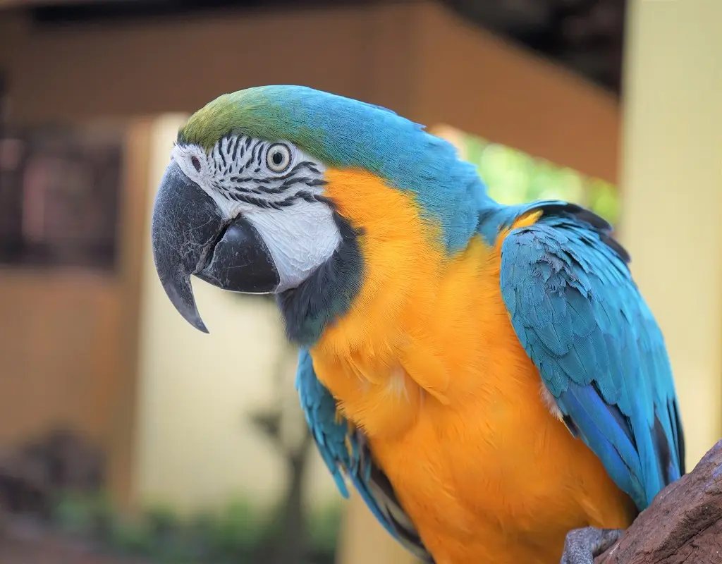 Langkawi Wildlife Park Tickets in Langkawi - Photo 3