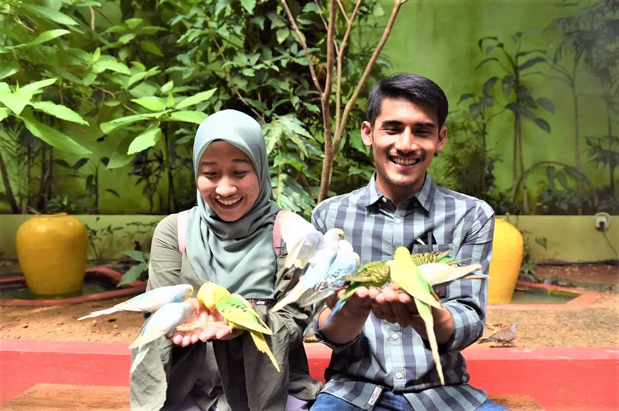 Langkawi Wildlife Park Tickets in Langkawi - Photo 8
