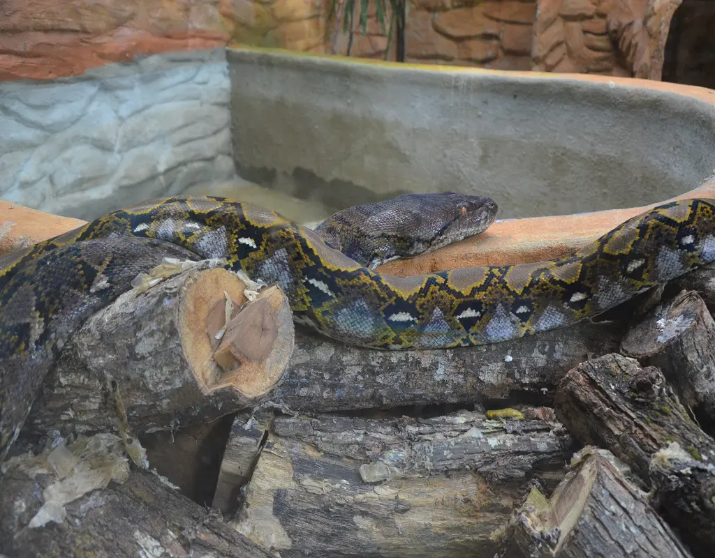 Langkawi Wildlife Park Tickets in Langkawi - Photo 10