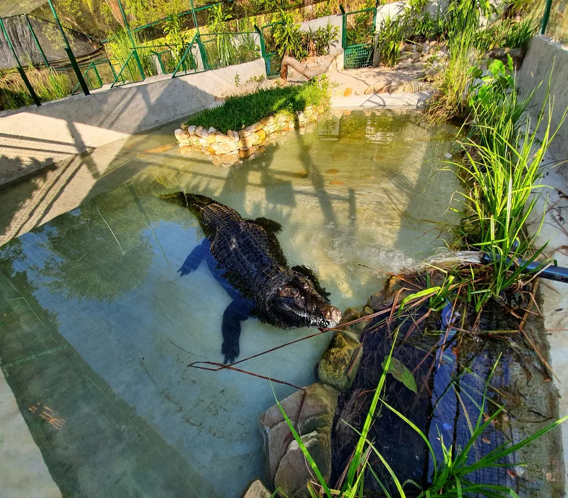 Crocodile Adventureland Langkawi in Langkawi - Photo 6