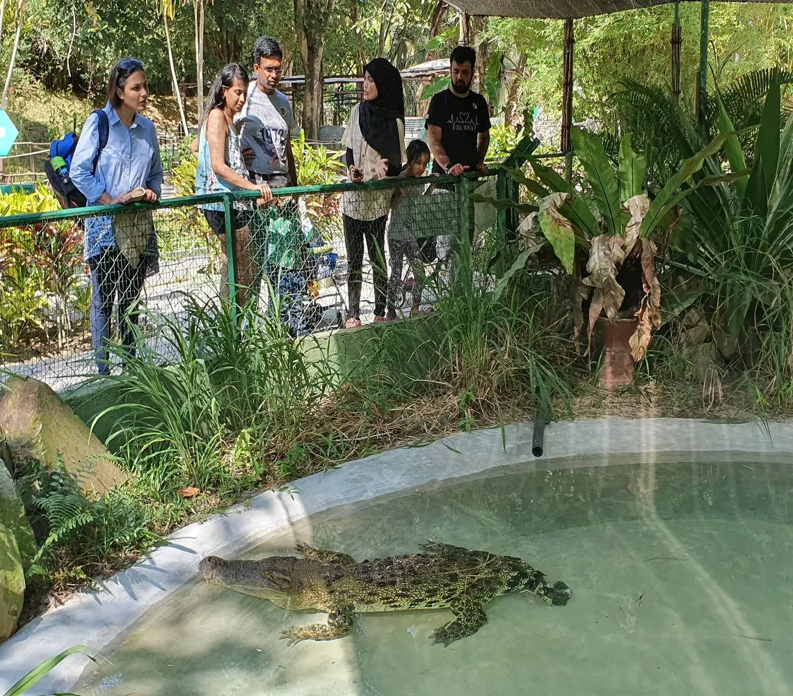 Crocodile Adventureland Langkawi in Langkawi - Photo 8