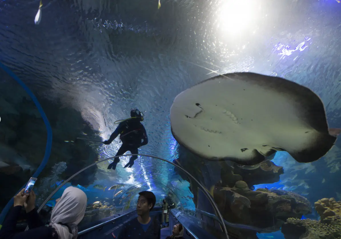 Aquaria KLCC in Kuala Lumpur - Photo 2