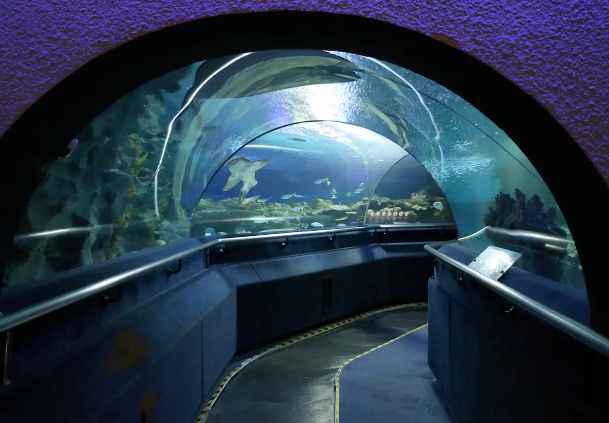 Aquaria KLCC in Kuala Lumpur - Photo 4