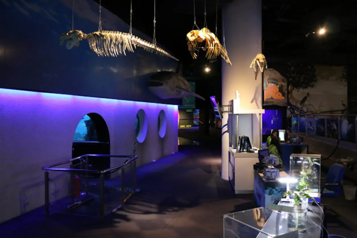 Aquaria KLCC in Kuala Lumpur - Photo 5