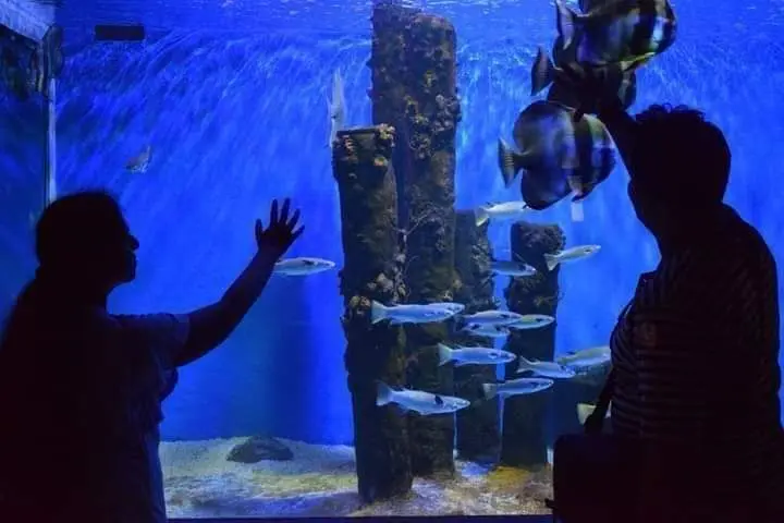 Underwater World Langkawi in Langkawi - Photo 3