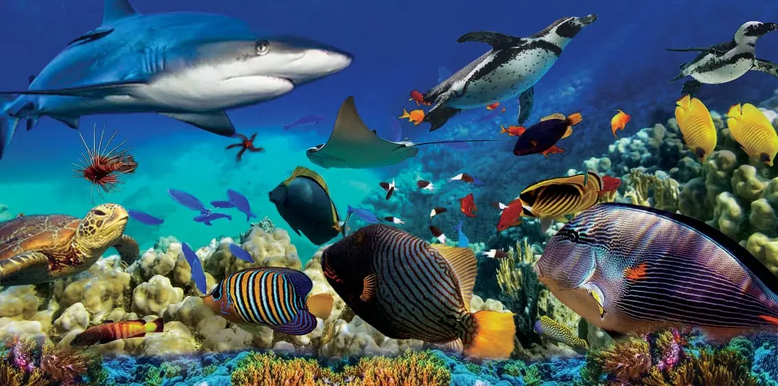 Underwater World Langkawi in Langkawi - Photo 6