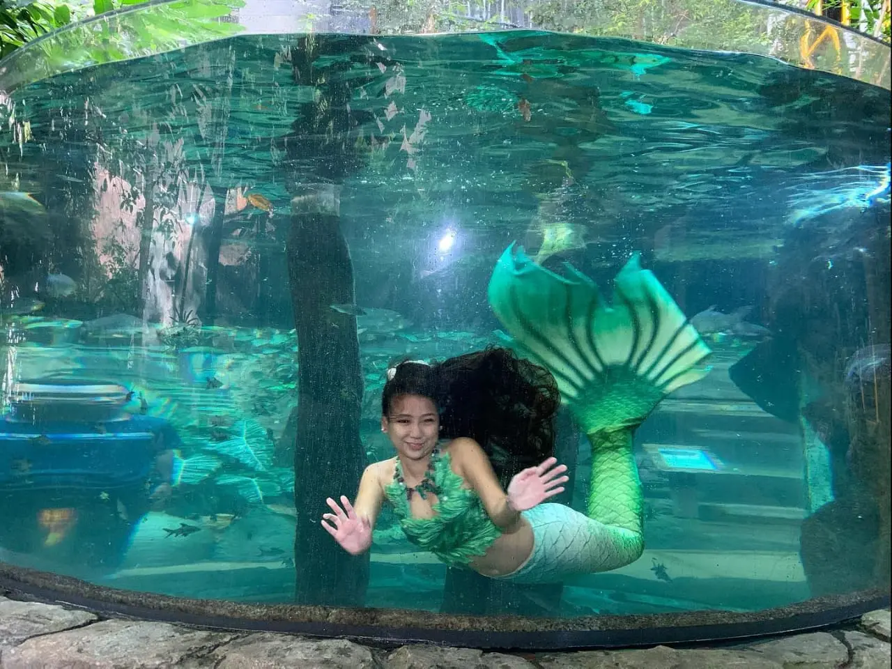 Underwater World Langkawi in Langkawi - Photo 8