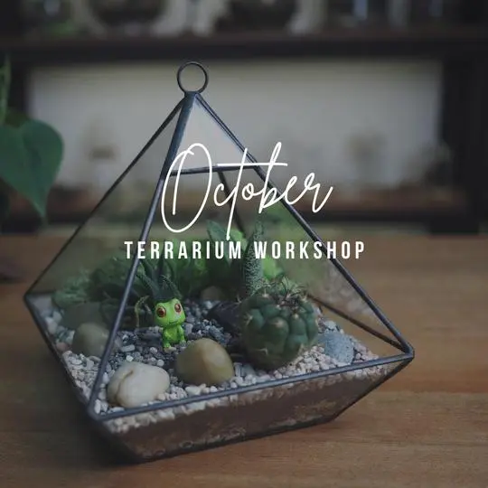 Terrarium Workshop in Singapore