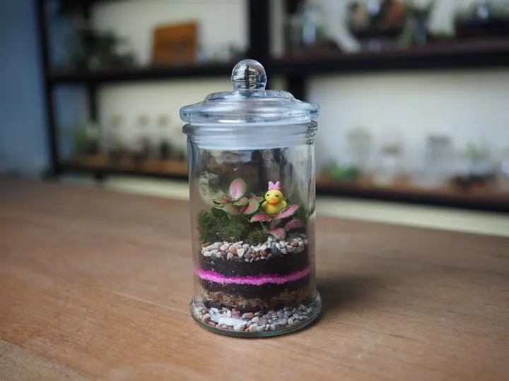 Terrarium Workshop Terrarium Workshop in Singapore - Photo 5