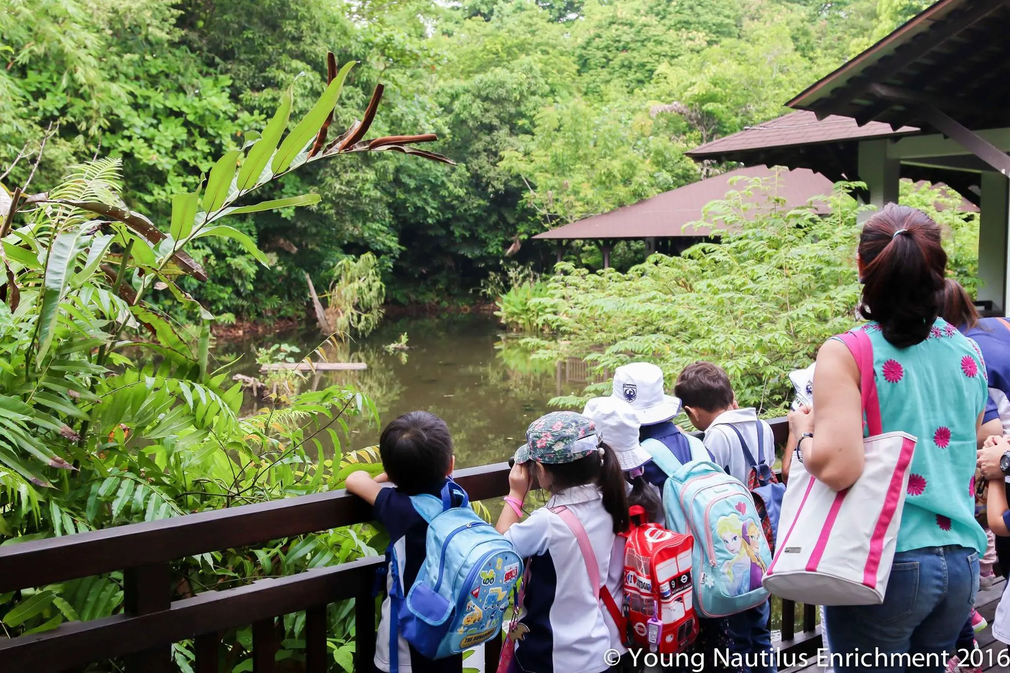 Young Nautilus Nature Walks: Unravelling Wildlife Mysteries in Singapore - Photo 2