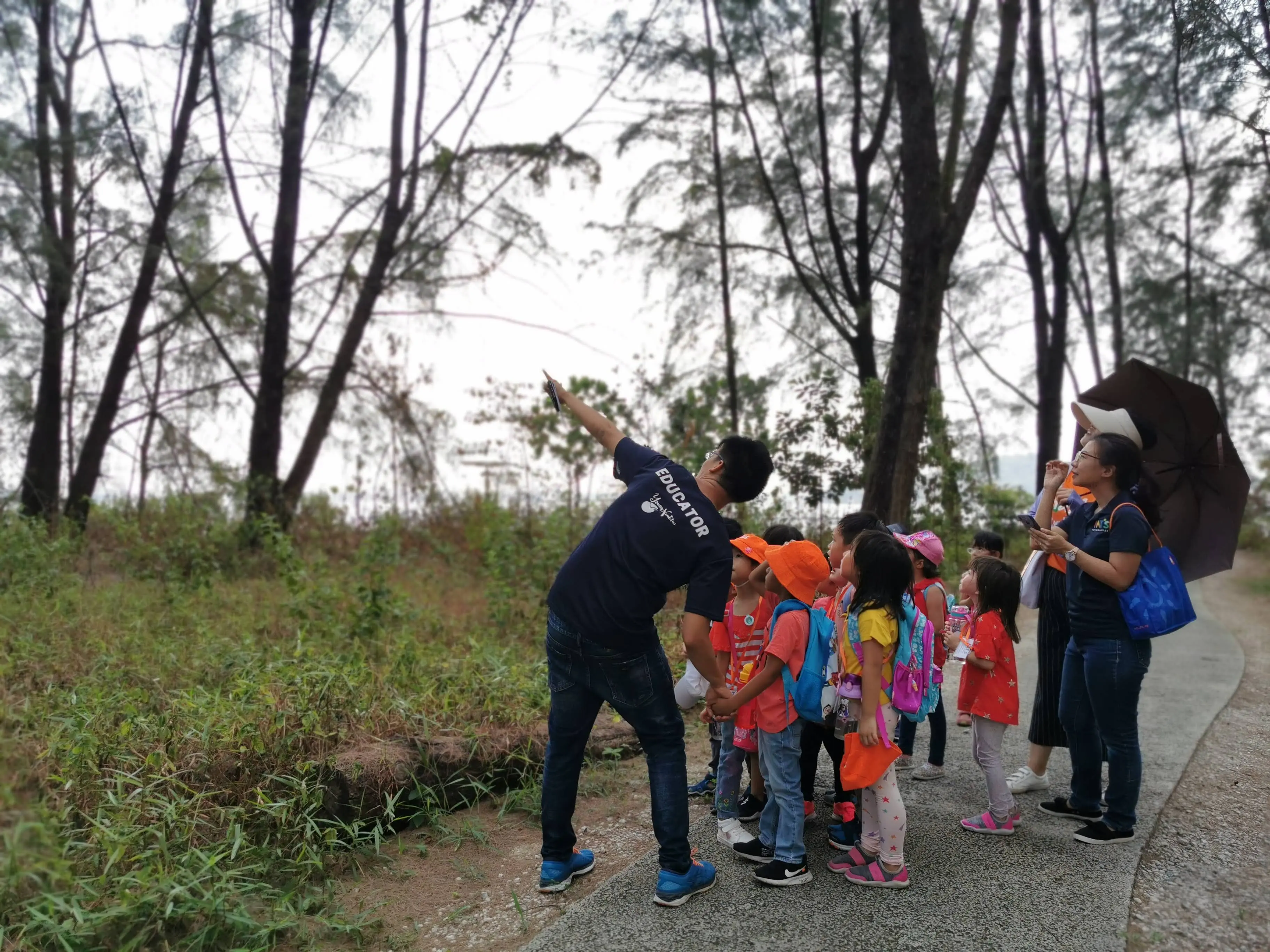 Young Nautilus Nature Walks: Unravelling Wildlife Mysteries in Singapore - Photo 8