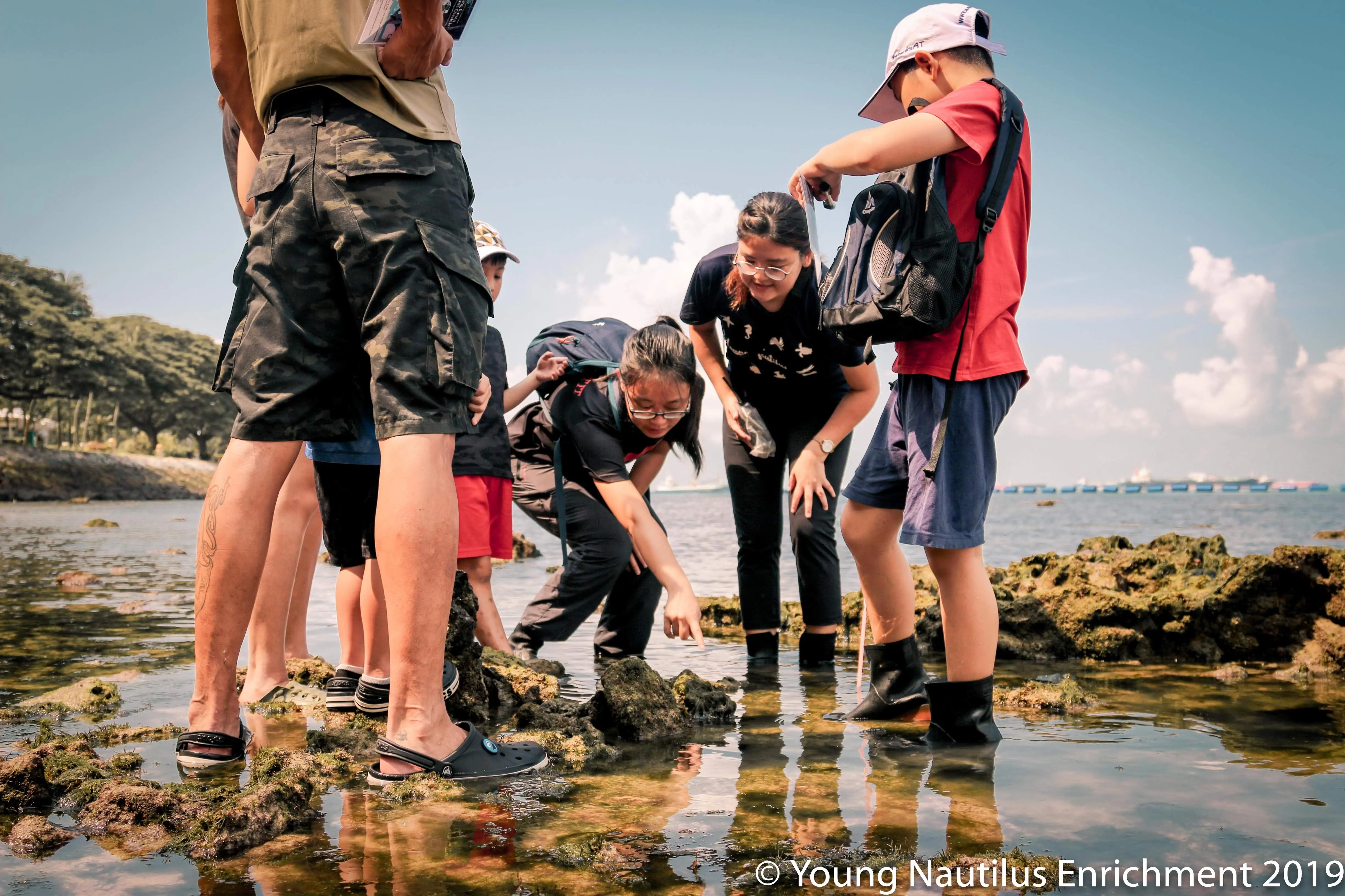 Young Nautilus Nature Walks: Unravelling Wildlife Mysteries in Singapore