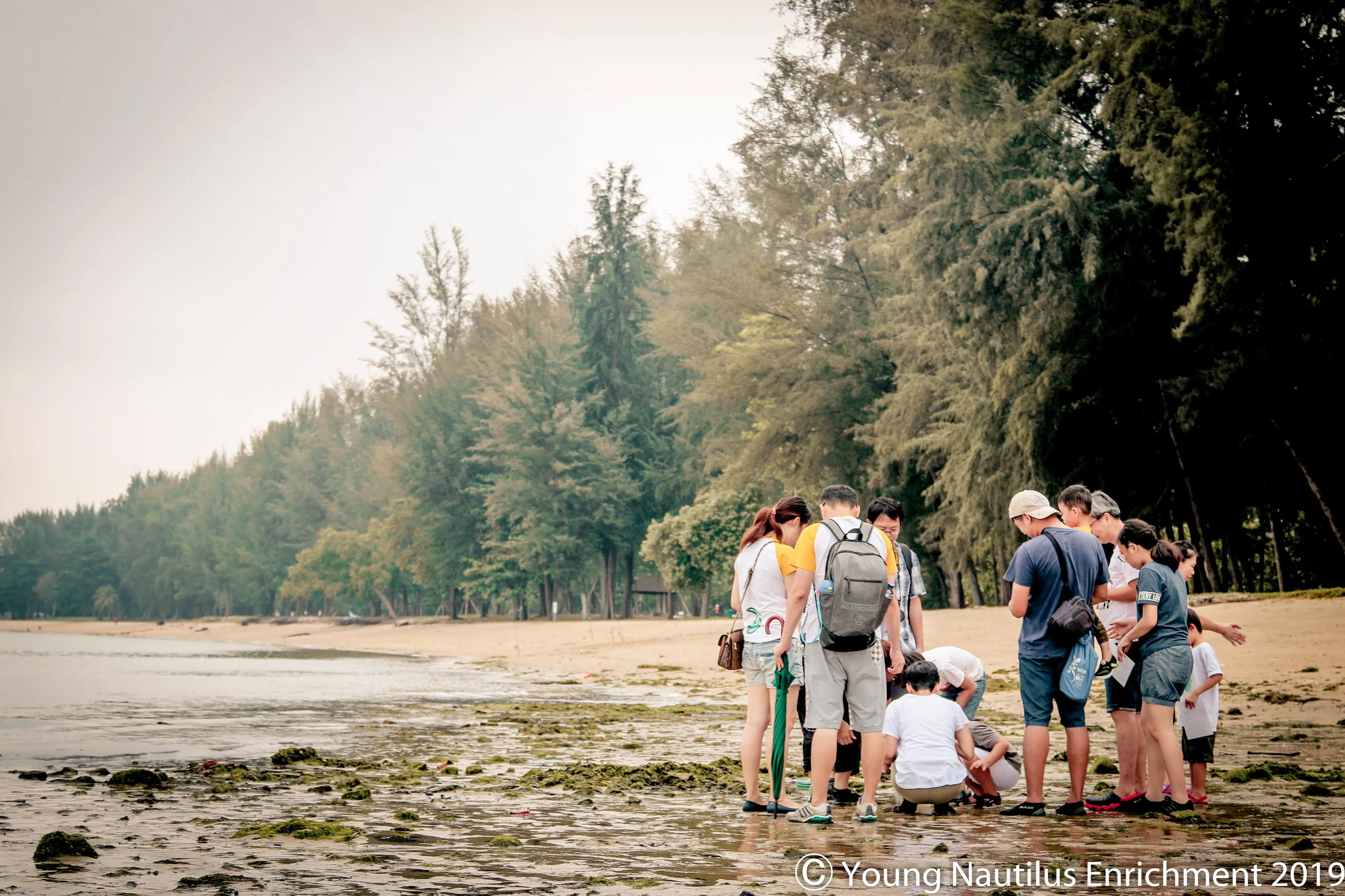 Young Nautilus Nature Walks: Unravelling Wildlife Mysteries in Singapore - Photo 9