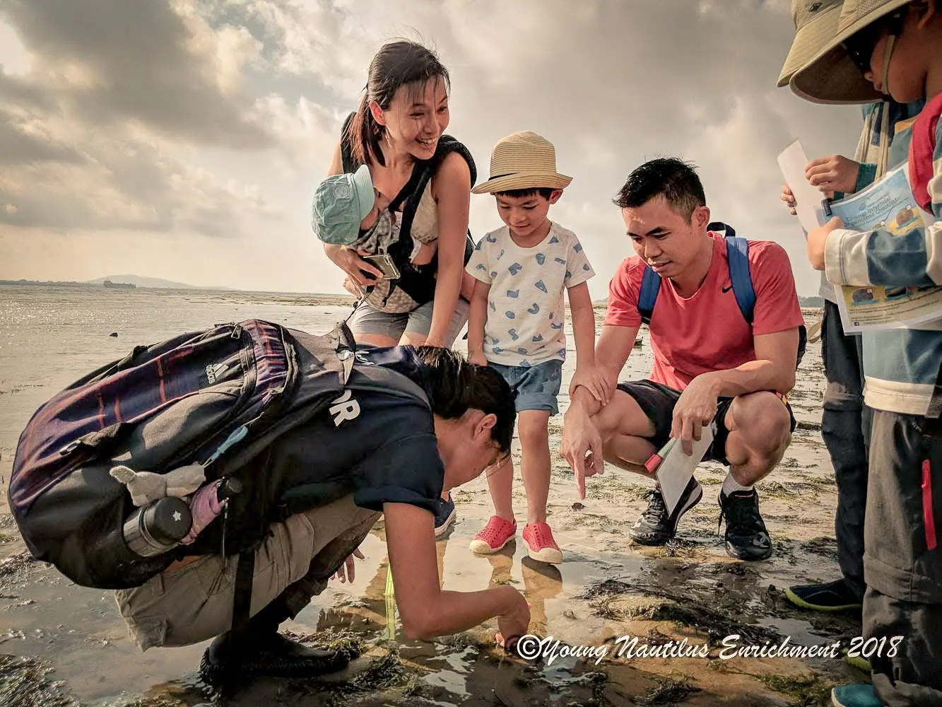 Young Nautilus Nature Walks: Unravelling Wildlife Mysteries in Singapore - Photo 10