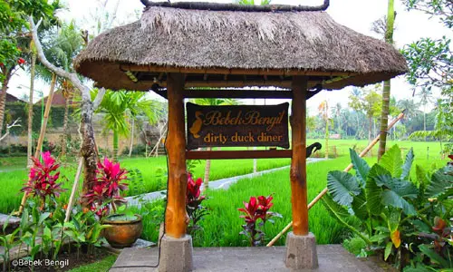 Bebek Bengil Restaurant Ubud Bali in Bali
