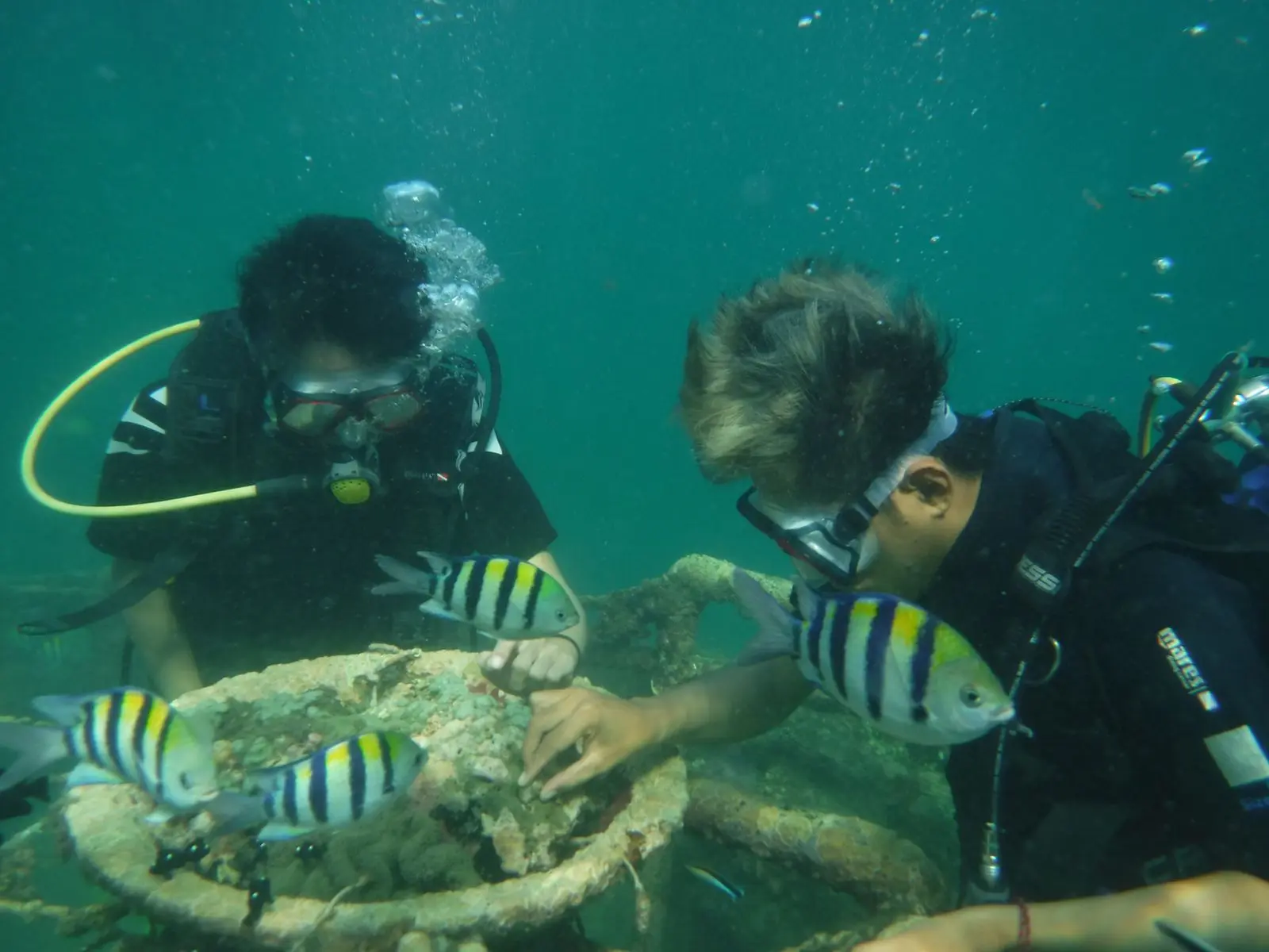 Diving & Snorkeling Tanjung Benoa by Pandan Sari in Bali
