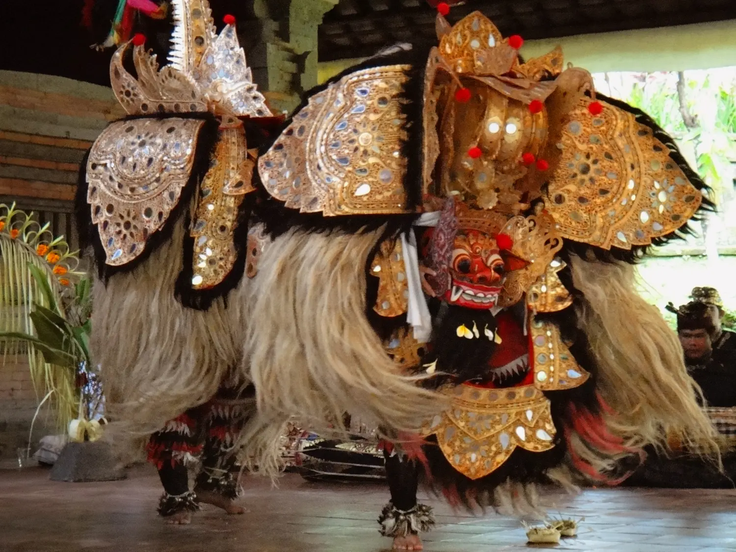 Regular Performances Regular Performances in Bali - Photo 2
