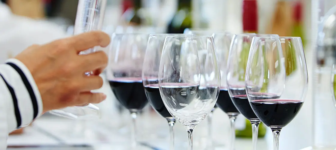 Wine Blending Experience at Penfolds Barossa Valley in Adelaide
