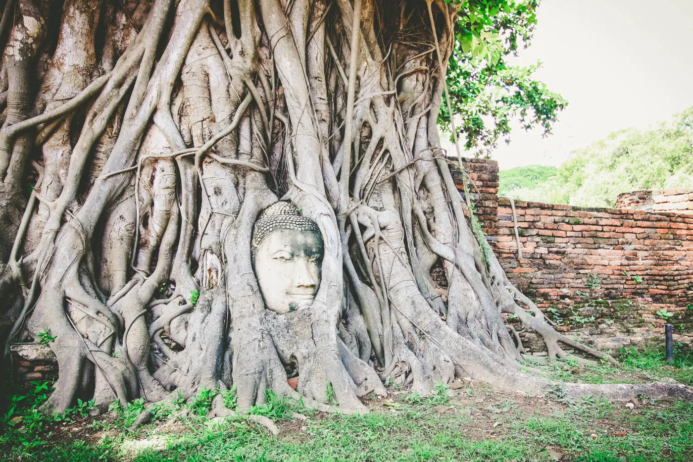 Ayutthaya Grand Pearl River Cruise Tour in Bangkok