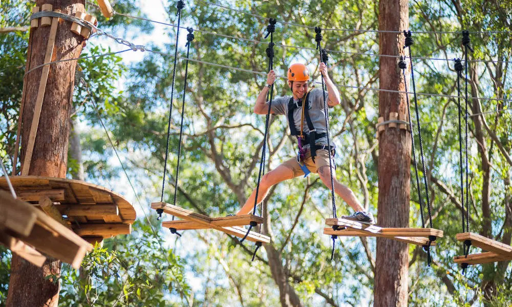 TreeTop Adventure Park Central Coast - 2.5 Hours in Sydney