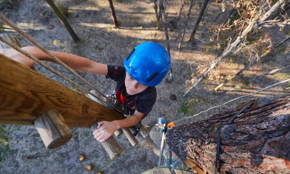 Forest Adventures High Ropes Course and West Park Entry in Sydney