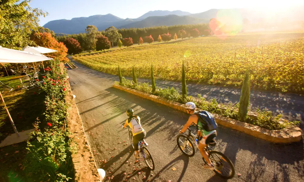 Picnic at the Feathertop Winery in Melbourne