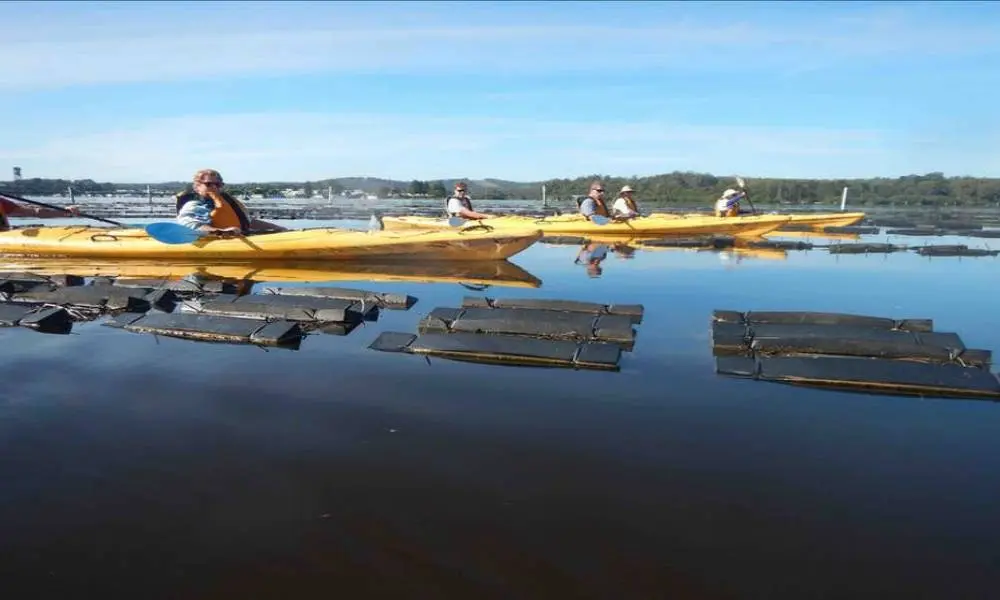 Batemans Bay Oyster Tasting Kayak Tour in Sydney