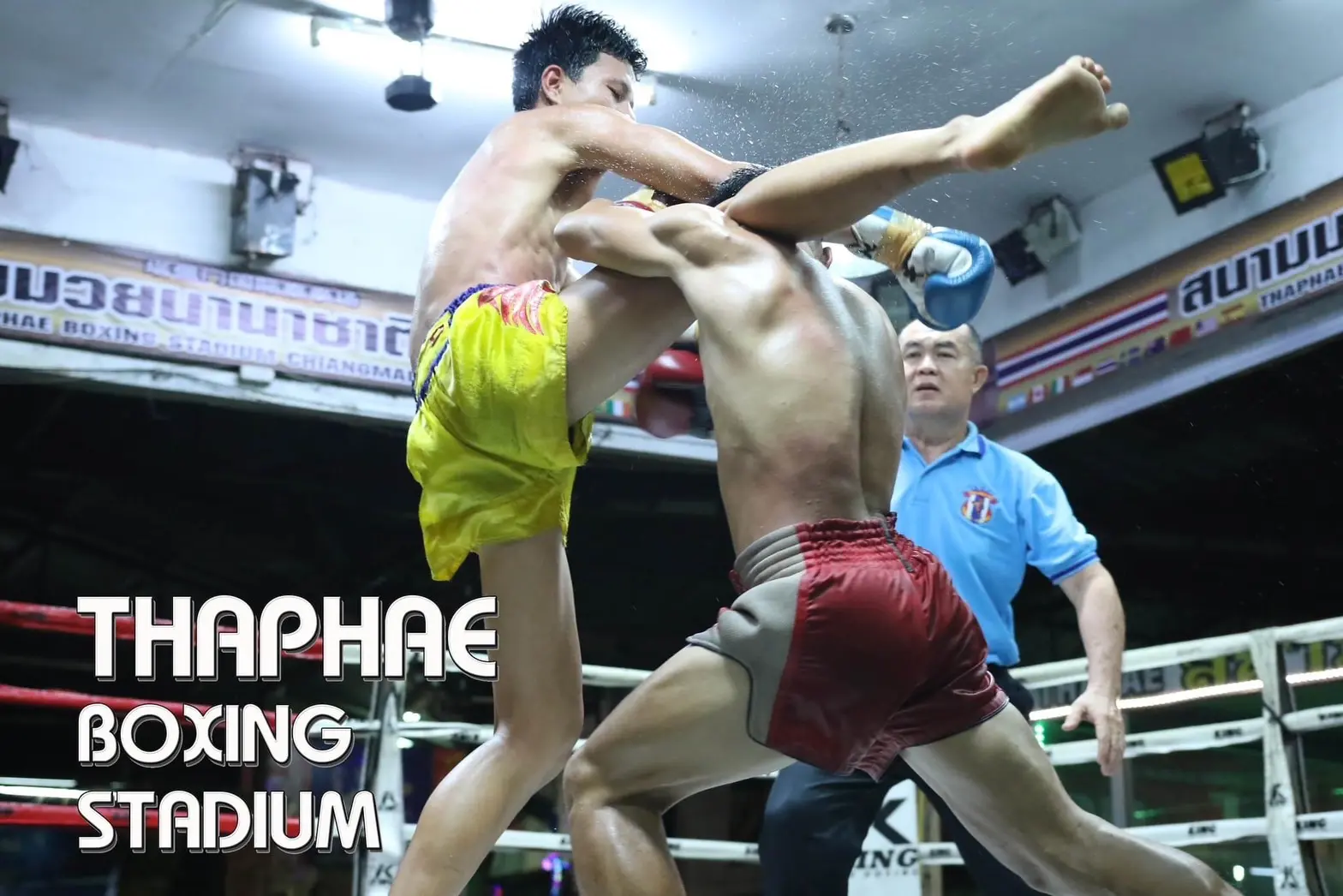 Chiang Mai-Thaphae Boxing Stadium Muay Thai Ticket in Chiang Mai