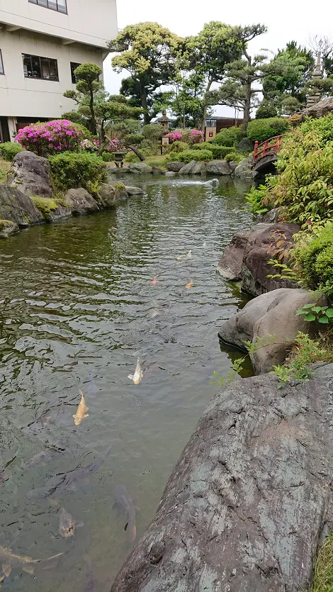 Fukui Awara Onsen Hot Spring & Matcha Experience Tour in Tokyo