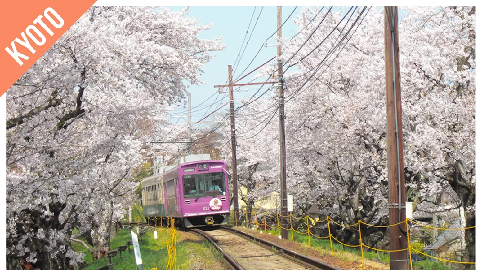 Have Fun in Kansai Pass Packages in Tokyo - Photo 3