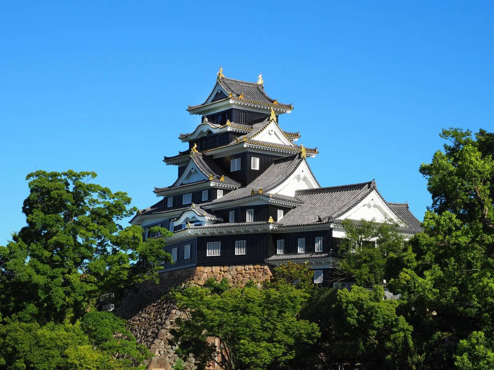 Admission Ticket  Okayama Castle in Tokyo - Photo 3