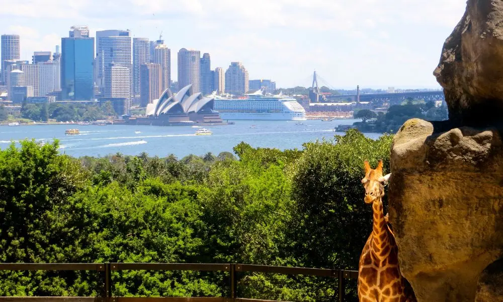 Taronga Zoo Sydney in Sydney - Photo 5
