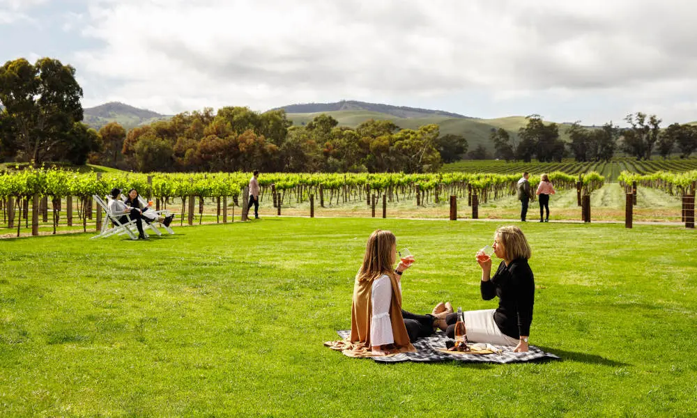 Picnic Perfect in Adelaide
