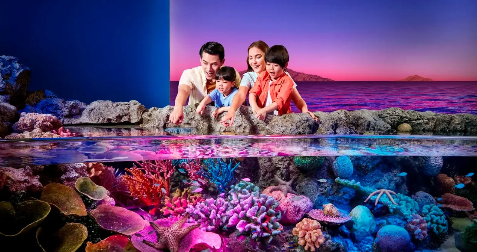 Sealife Bangkok + Madame Tussauds Bangkok Bundle in Bangkok