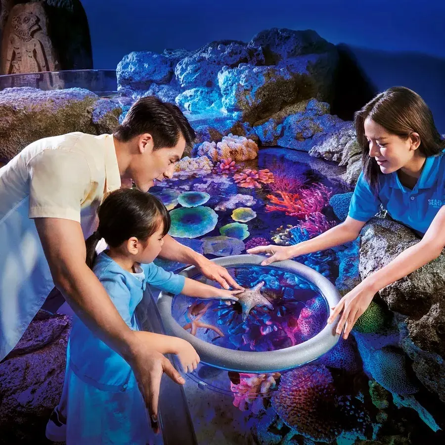Sealife Bangkok + Madame Tussauds Bangkok Bundle Sealife Bangkok + Madame Tussauds Bangkok Bundle in Bangkok - Photo 9