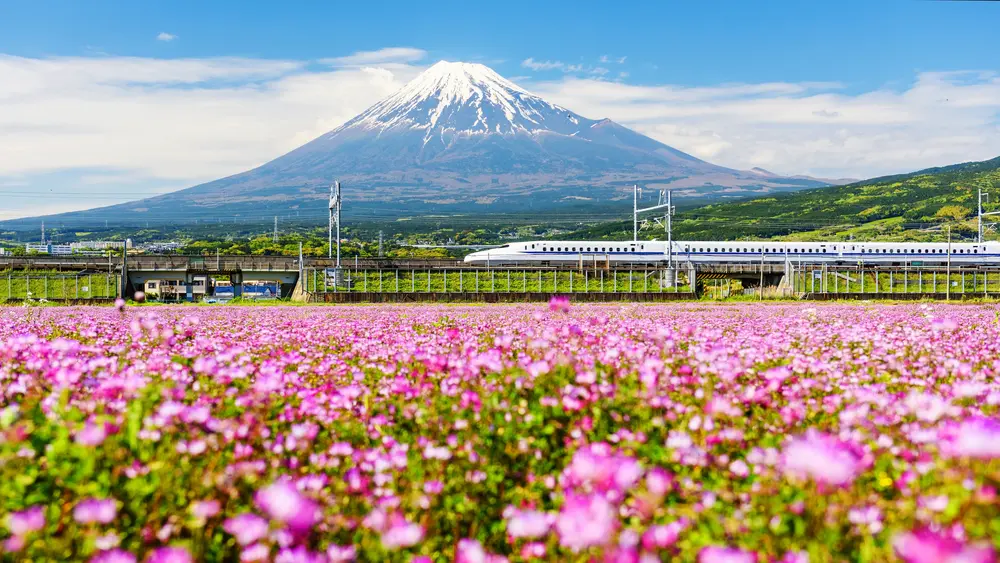 Japan Rail Pass for Whole Japan - Delivery Coverage: Indonesia only in Tokyo