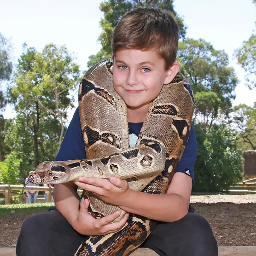 Ballarat Wildlife Park Tickets Ballarat Wildlife Park Tickets in Adelaide - Photo 6