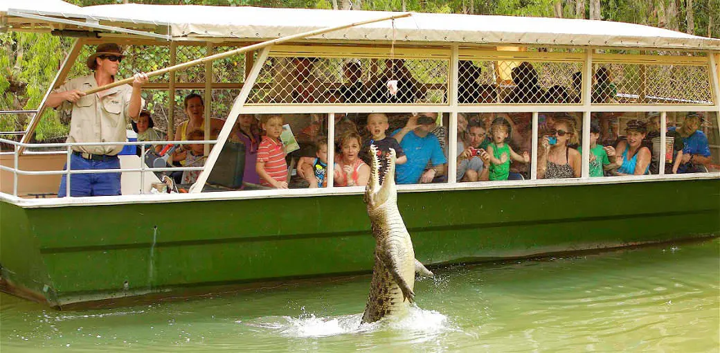 Hartleys Crocodile Adventures General Admission in Sydney