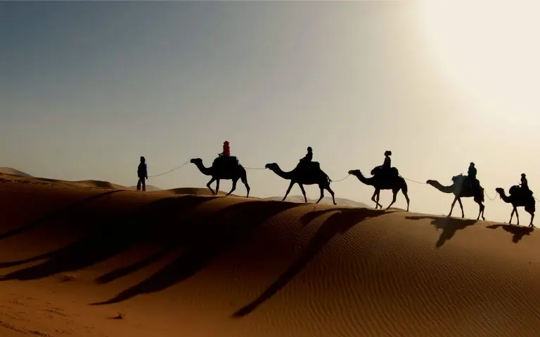Overnight Desert Safari in Dubai
