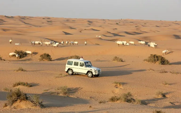 Conservation Drive in Dubai