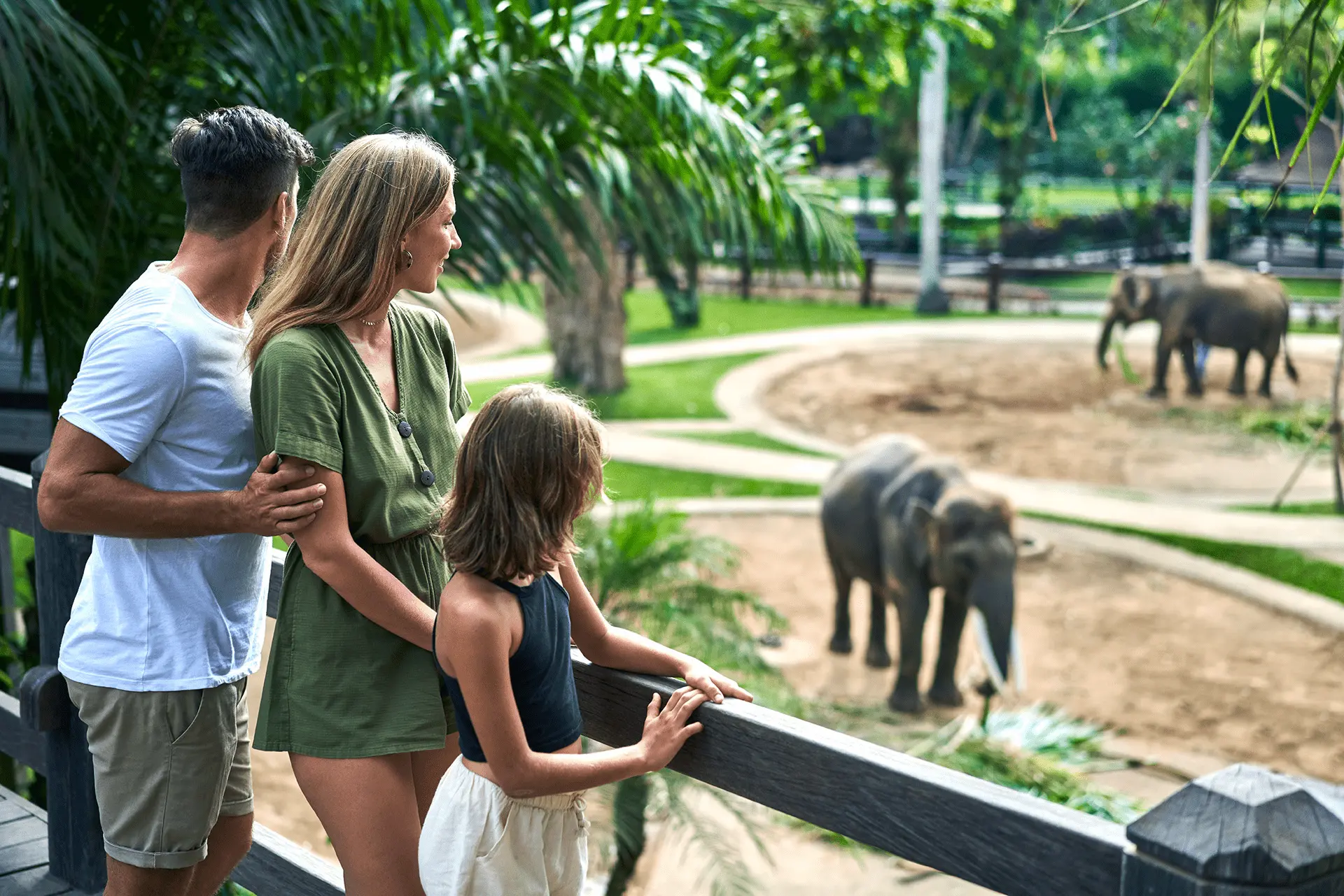 Elephant Park Tour in Bali