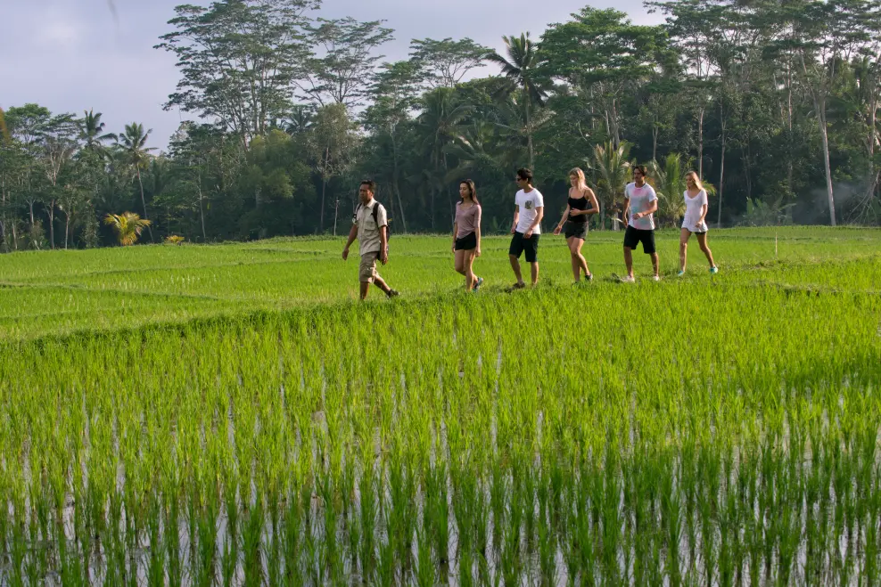Tropical Trekking in Bali