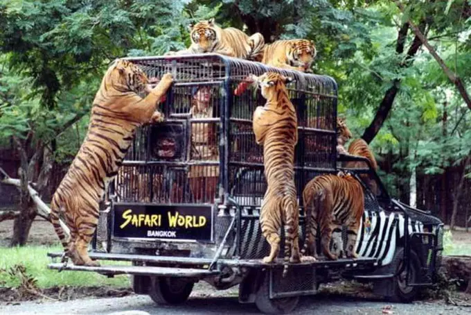 Safari World Bangkok Include Private Transfer. (Major Area in Bangkok and Extra Area in Bangkok) Safari World Bangkok Include Private Transfer. (Major Area in Bangkok and Extra Area in Bangkok) in Bangkok - Photo 7