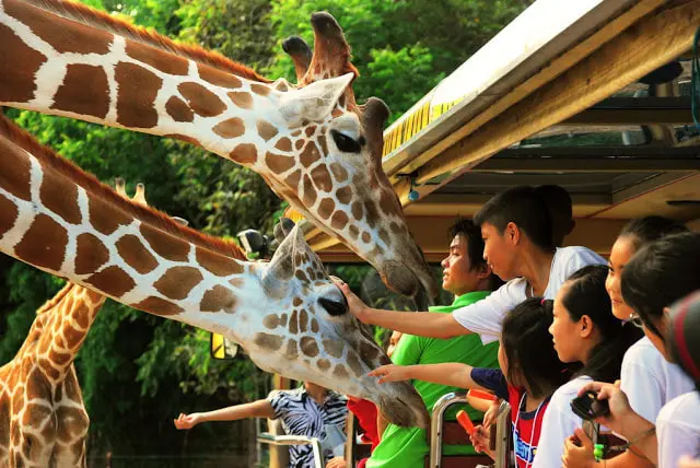 Safari World Bangkok Include Private Transfer. (Major Area in Bangkok and Extra Area in Bangkok) Safari World Bangkok Include Private Transfer. (Major Area in Bangkok and Extra Area in Bangkok) in Bangkok - Photo 8
