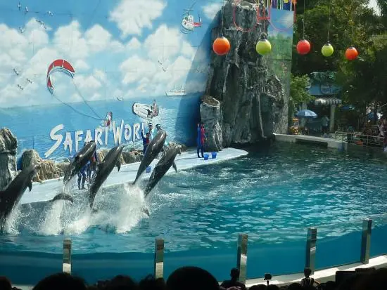 Safari World Bangkok Include Private Transfer. (Major Area in Bangkok and Extra Area in Bangkok) Safari World Bangkok Include Private Transfer. (Major Area in Bangkok and Extra Area in Bangkok) in Bangkok - Photo 11